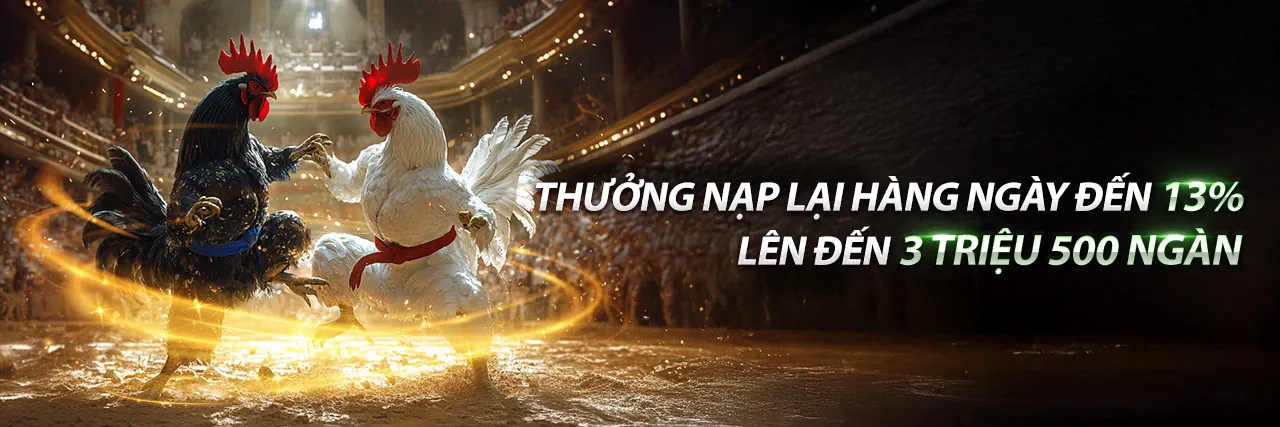 Đá Gà Trực Tuyến V8Club Nhà Cái